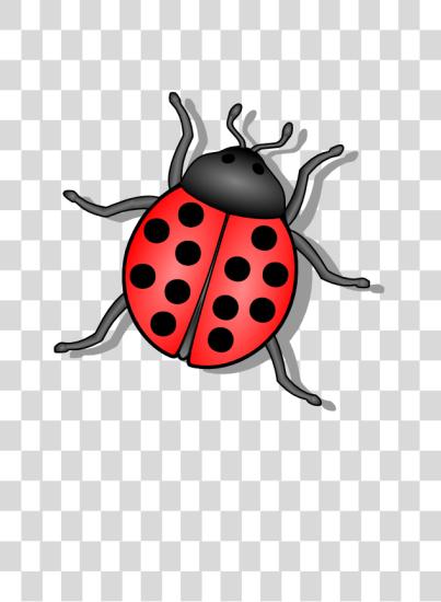 Download Bug PNG file