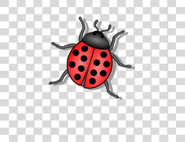 Download Bug Clip Art