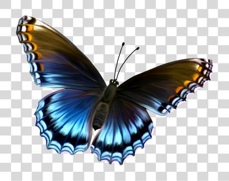 Download Vibrant Butterfly with Colorful Wings in Nature Cutout PNG file