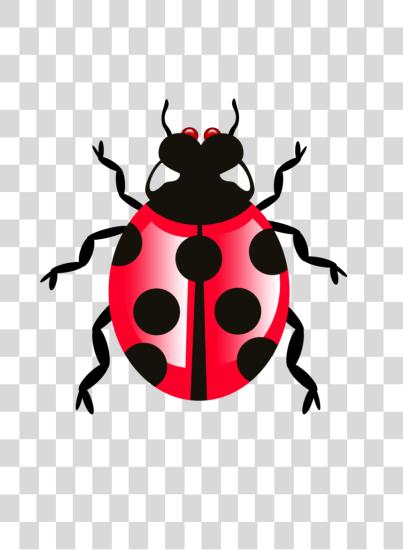 Download Bug PNG file