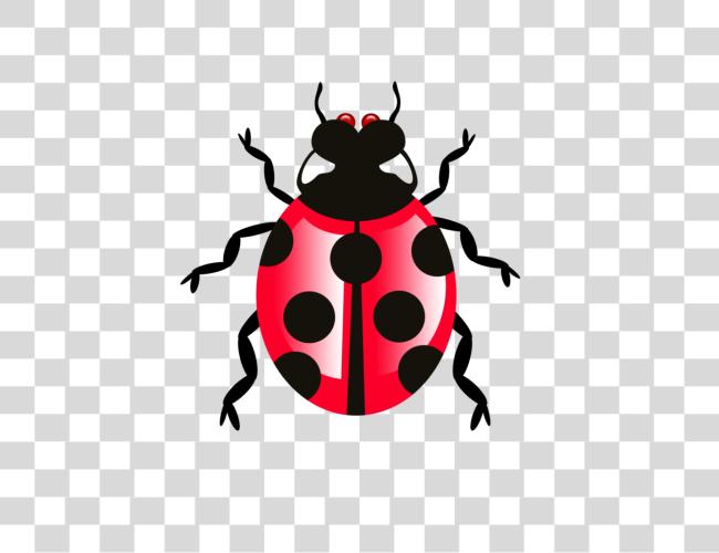 Download Bug Clip Art