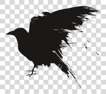 Download Raven PNG file