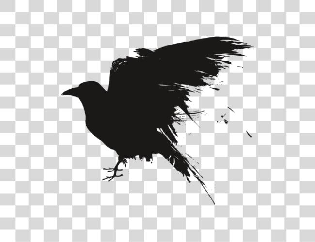 Download Raven Clip Art