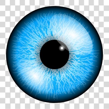 تحميل أزرق Eye تشريح Iris Detail و Pupil Insights بي ان جي ملف