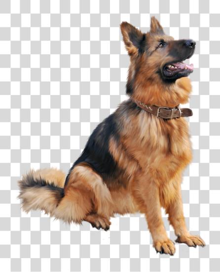 Download German Shepherd Loyal Intelligent Protective Dog PNG file