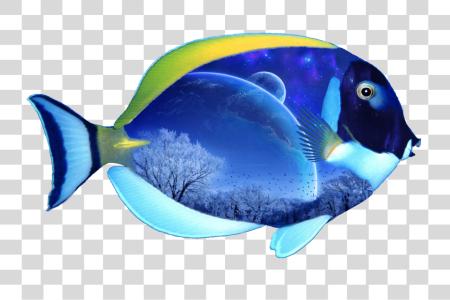 Download Fish PNG file