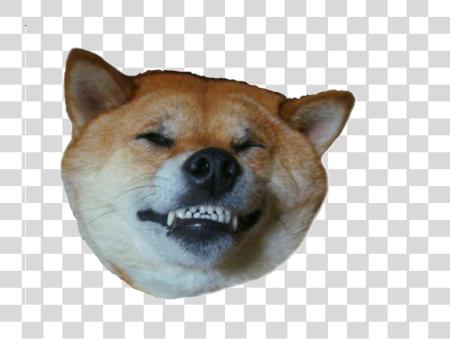 下载 Doge 头 PNG file