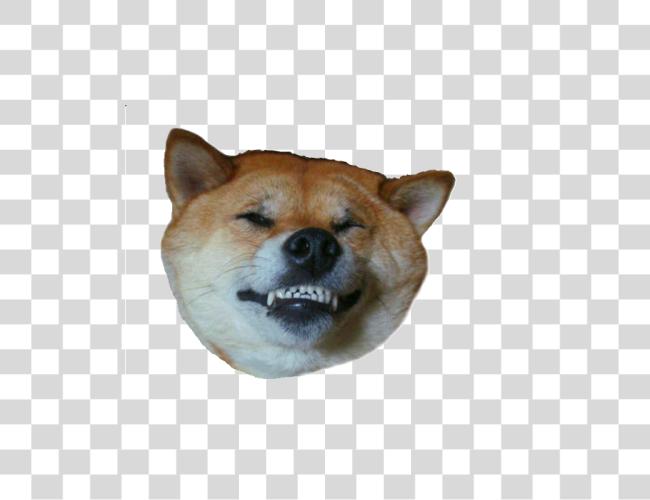 Download Doge Head Clip Art