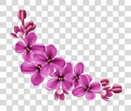 Download morado Flowers para floral decoración y ilustración PNG file