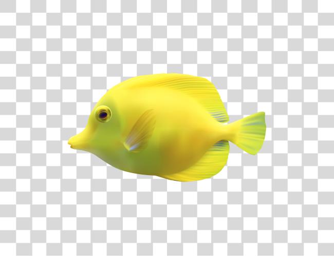 Download Fish Clip Art