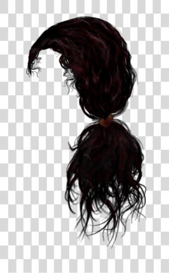 Download Hair PNG file