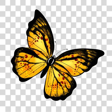 Download Yellow Butterfly Insect Nature Illustration File PNG file