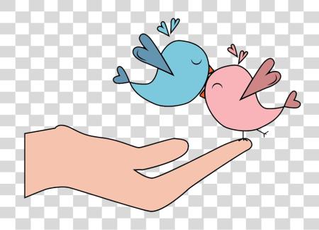 Download two colorful birds perched on a human hand PNG file