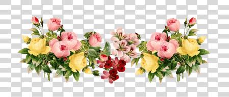 Download colorido floral Arrangements vintage ilustración Cutout PNG file