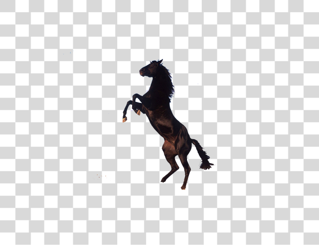 Download Horse Clip Art