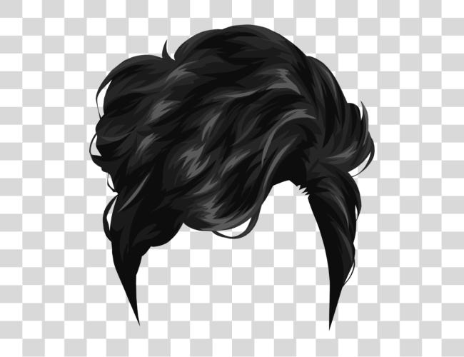 Download Hair Clip Art