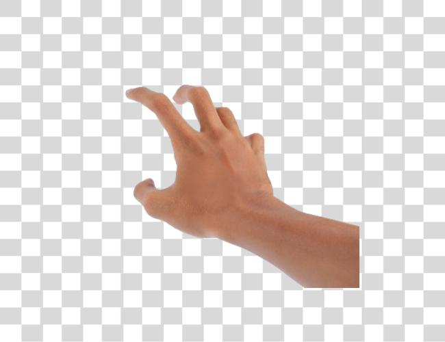 Download Hand Grasping Reaching Gesture and Movement Clip Art