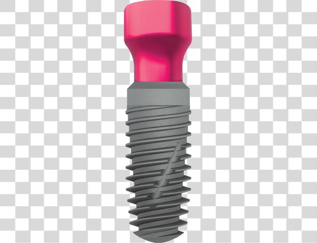 Download Dental Implant with Pink Abutment Clip Art