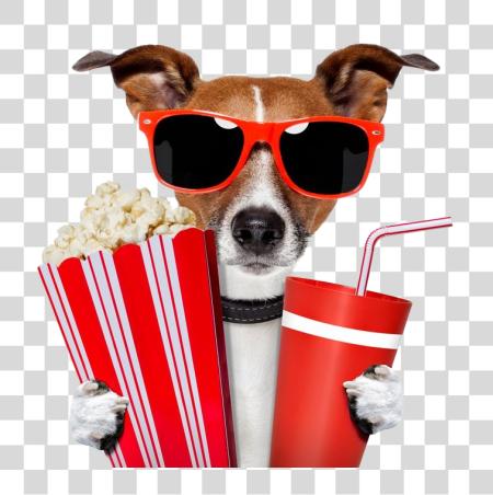 Download perro vestido arriba para un película noche y usando gafas de sol sosteniendo un cubo de palomitas  PNG file