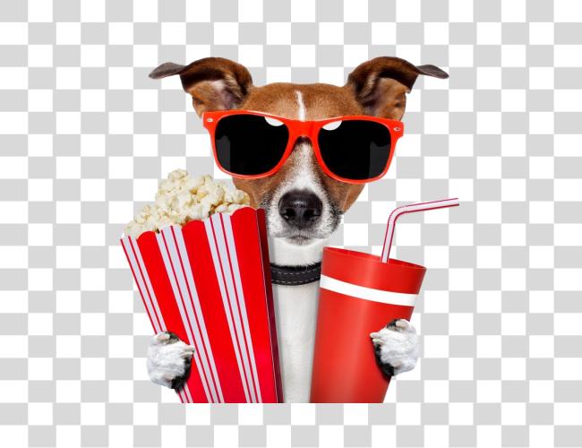 Download dog dressed up for a movie night and wearing sunglasses holding a bucket of popcorn  Clip Art