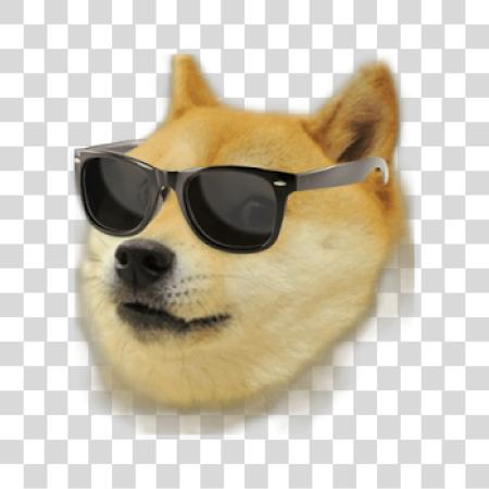 تحميل Doge رأس بي ان جي ملف