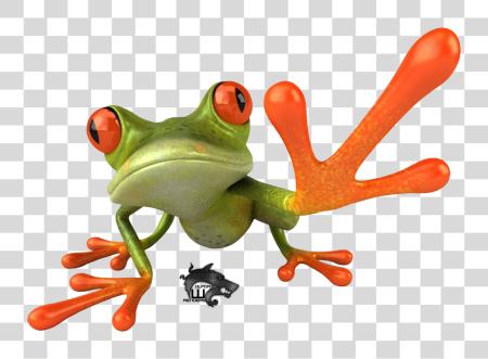 Download Frog PNG file