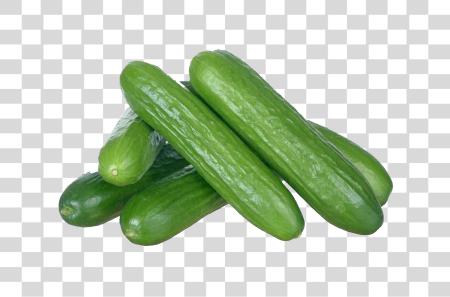 Download Group of Fresh Cucumbers PNG file