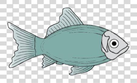 Download Fish PNG file