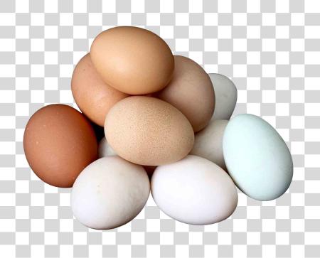 Download Group of Eggs of Different Colors Arranged PNG file