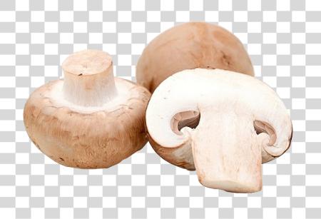 Download Group of Brown Mushrooms One of Them Sliced PNG file