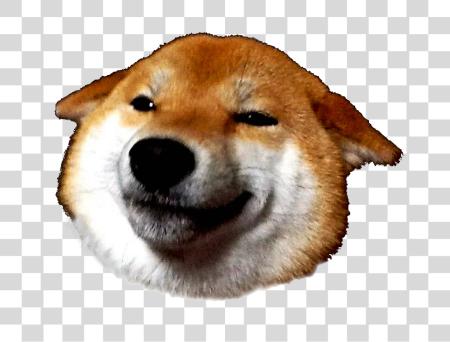 تحميل Doge رأس بي ان جي ملف