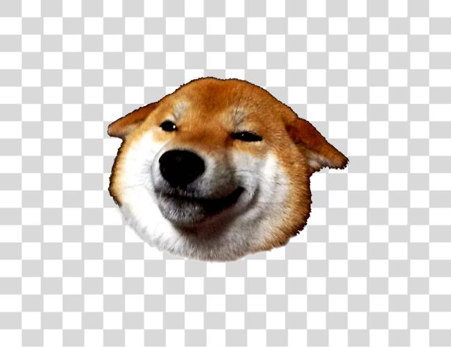 Download Doge Head Clip Art