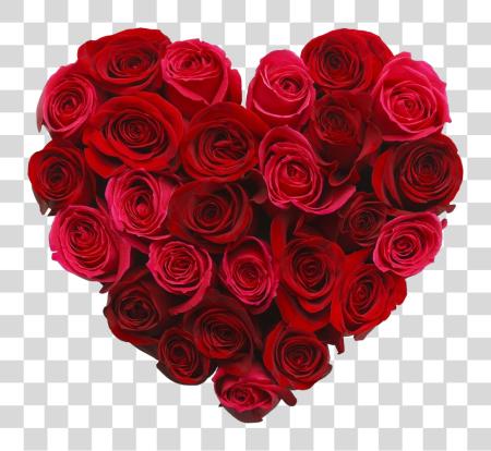 Download beautiful heart shape created using a cluster of red roses PNG file