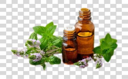 Download herbal medicamento Mint aceite PNG file