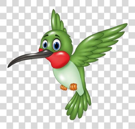 Download Hummingbird Cartoon Cute and Colorful Animated Bird PNG file