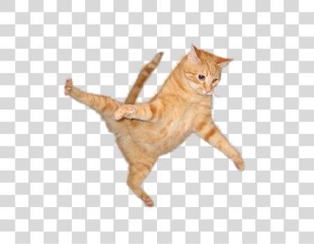 Download Playful Orange Cat Jumping and Acrobatic Pet Cutout PNG file