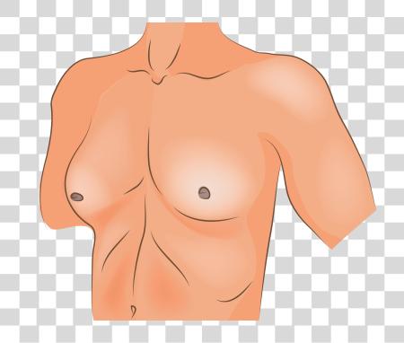 Download Gynecomastia Man Body PNG file