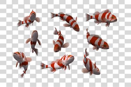 Download Fish PNG file