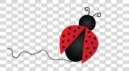 下载 Ladybug PNG file