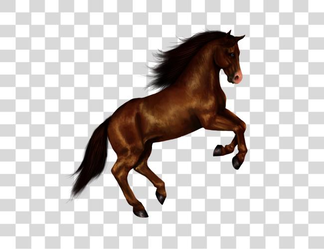 Download Horse Clip Art