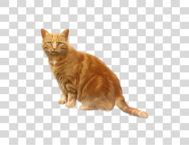 Download Fluffy Orange Cat Ginger Tabby Pet Care Clip Art