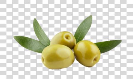 Download Olives with Leaves PNG file