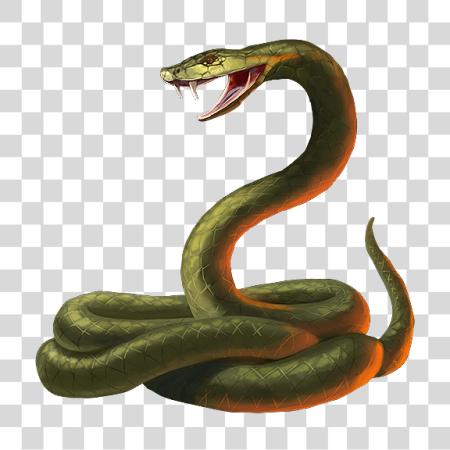 下载 Snake 绿色 PNG file