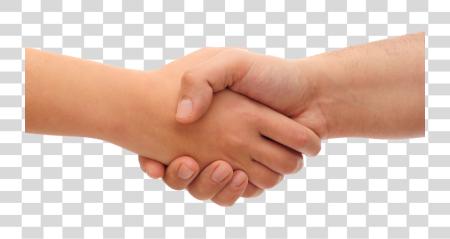 Download Handshake for Partnership and Collaboration PNG file