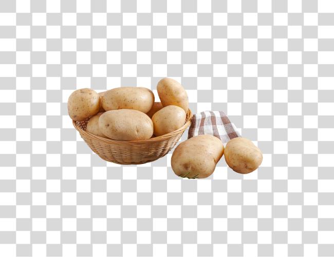 Download recién cosechado patatas versátil y nutritivo vegetal Clip arte