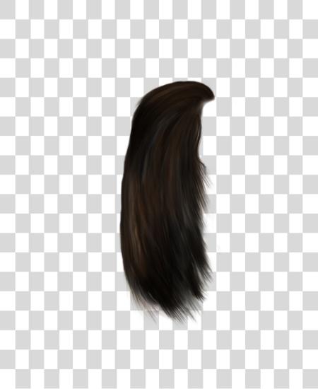 Download Hair PNG file