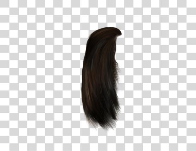 Download Hair Clip Art