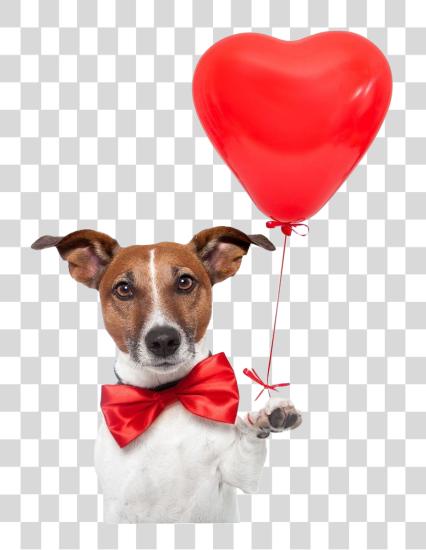 Download cute dog holding a red heart shaped balloon PNG file