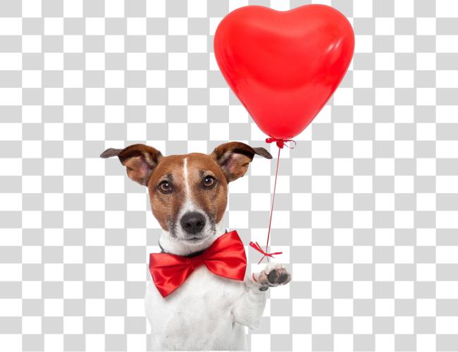 Download cute dog holding a red heart shaped balloon Clip Art