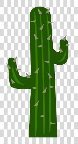 下载 Cactus 關懷 Tips 为了 Desert Plants 和 Succulents File PNG file